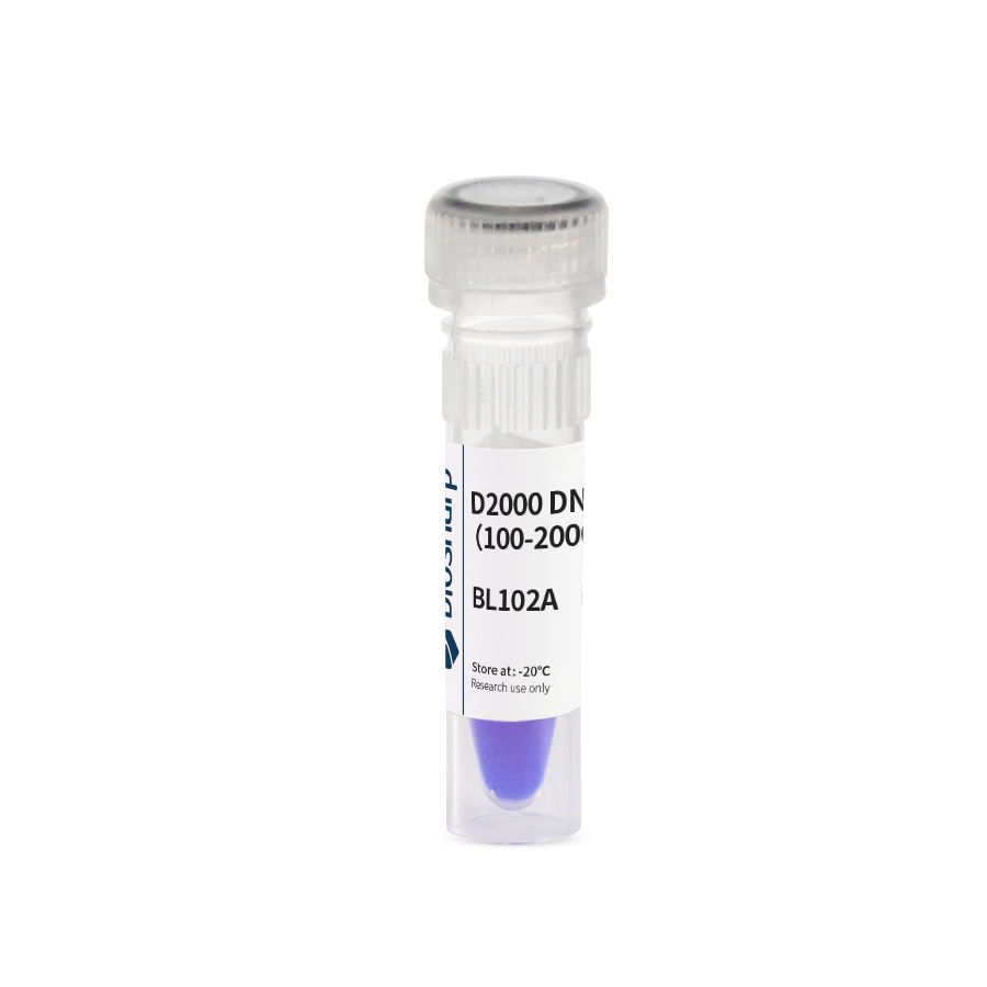 Laboratory Biological Research BL102A D2000 DNA Marker（100-2000bp）