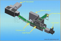 Face care carton packaging machine