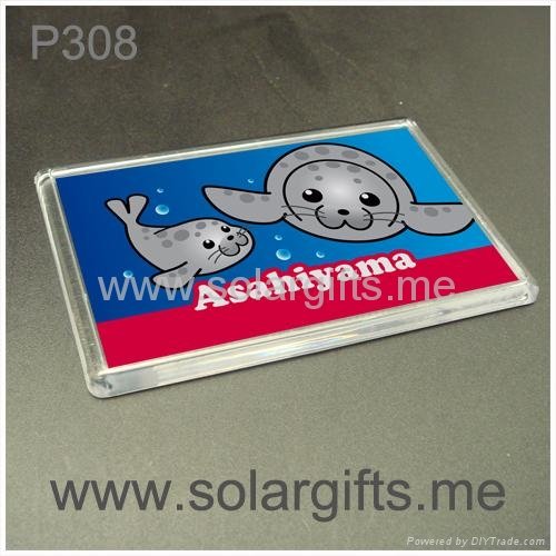 photo insert promotion fridge magnet P308