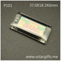 Solar Badge  P101