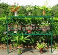 greenhouse flower rack 2