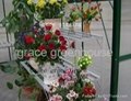 greenhouse flower rack 1