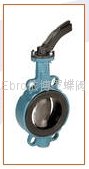 Ebro-Armaturen Butterfly valve