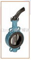 Ebro-Armaturen Butterfly valve