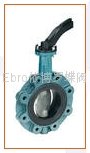 Ebro-Armaturen Butterfly valve 2