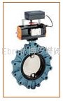 Ebro-Armaturen Butterfly valve 5