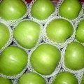 Delicious Green Apples
