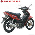 PT110-L Chinese Cheap 110cc Cub Moped Motocicleta 4