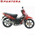 PT110-L Chinese Cheap 110cc Cub Moped Motocicleta 5