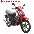 PT110-L Chinese Cheap 110cc Cub Moped Motocicleta 2