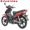 PT110-L Chinese Cheap 110cc Cub Moped Motocicleta