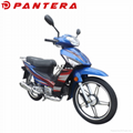 PT110-XY Chinese 110cc Gas Cubs Mini Bikes Motorcycle