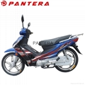 PT110-XY Chinese 110cc Gas Cubs Mini Bikes Motorcycle