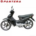 PT110-H Chinese Cheap 110cc Chongqing Scooter Cub Motorcycle