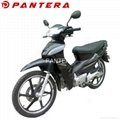 PT110-H Chinese Cheap 110cc Chongqing Scooter Cub Motorcycle