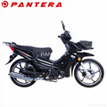 PT110Y-5S China High Quality 110cc Super Cub Motos