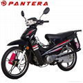 PT110T Chongqing Classical Wave Cub Motorcycle 110cc 2