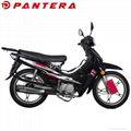 PT110T Chongqing Classical Wave Cub Motorcycle 110cc 6