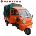 PT250ZH-7 250cc Water Cooled Engine Cargo Tricycle