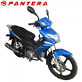 PT110-XY3 New Arrival 110cc Cub Motorcycle 