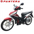 PT110-DBY New Arrival Cheap 110cc Cub Motocicleta 2