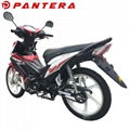 PT110-DBY New Arrival Cheap 110cc Cub Motocicleta 5