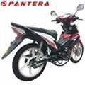 PT110-DBY New Arrival Cheap 110cc Cub Motocicleta 6