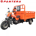 PT250ZH-9 200cc 250cc Air Cooled Engine Cargo Tricycle