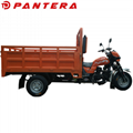 PT250ZH-9 200cc 250cc Air Cooled Engine Cargo Tricycle