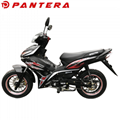 PT110-10Y 50cc 100cc 110cc Motorcycle Motos Cub Moped Motorbike