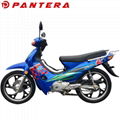 PT110T Chongqing Classical Wave Cub Motorcycle 110cc 1