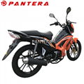 PT110-NR Tunisia Market New Design 110cc Cub Forza Motorcycle 3