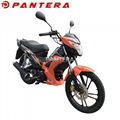 PT110-NR Tunisia Market New Design 110cc Cub Forza Motorcycle 1