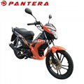 PT110-NR Tunisia Market New Design 110cc