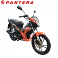 PT110-NR Tunisia Market New Design 110cc Cub Forza Motorcycle