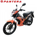 PT110-NR Tunisia Market New Design 110cc Cub Forza Motorcycle 5