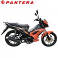 PT110-NR Tunisia Market New Design 110cc Cub Forza Motorcycle 6