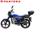 PT70-NA New Design 70cc 100cc 125cc Street Alpha Motorcycle