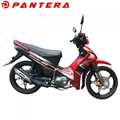 PT110-JN Chinese New Crypton Motorcycle 110cc Cub