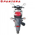 PT110-J8 New Arrival 50cc 110cc Super Cub Moped 2