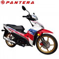 PT110-J8 New Arrival 50cc 110cc Super Cub Moped 1