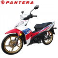 PT110-J8 New Arrival 50cc 110cc Super Cub Moped 4