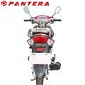 PT110-PY 2020 New Arrival Super Cub 110cc Motorcycle 4