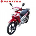 PT110-PY 2020 New Arrival Super Cub 110cc Motorcycle 1