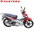 PT110-PY 2020 New Arrival Super Cub 110cc Motorcycle 2