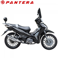 PT110Y-B4 2020 New Design Cub Type China Motorcycle 2