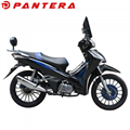 PT110Y-B4 2020 New Design Cub Type China Motorcycle 3