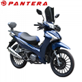 PT110Y-B4 2020 New Design Cub Type China Motorcycle 4