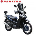 PT110Y-B4 2020 New Design Cub Type China Motorcycle 1