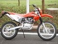 DIRT BIKE/OFF ROAD MOTORCYCLE PT250GY